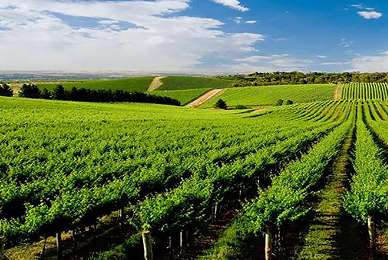 Hunter Valley