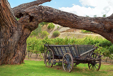 Kangaroo Island