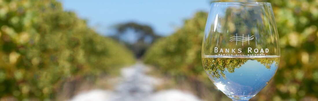 Banks Road Vineyard, Bellarine VIC