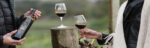 Claymore Wines Riesling, Tempranillo & Shiraz Mixed Dozen (12 Bottles) Clare Valley, SA - Image 2