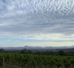 Castle Rock Estate Pinot Noir 2023 (6 Bottles) Porongurup - Image 3