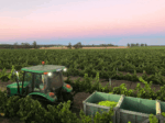 Alkoomi Collection Shiraz (12 Bottles) Frankland River - Image 3