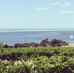 Bay of Shoals Winery 2017 Shiraz, Kangaroo Island (6 Bottles) - Image 5