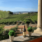Picardy Wines Merlimont 2018 (12 Bottles) Margaret River, WA - Image 3