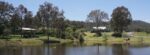Midnight's Promise Semillon 2014 Aged Release (6 Bottles) Lovedale, Hunter Valley - Image 4
