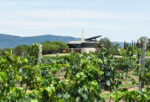 Hungerford Hill Fish Cage Hilltops Cabernet Sauvignon 2022 (12 Bottles) Hilltops Region, Boorowa - Image 4