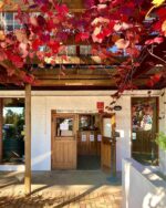 Brokenwood Tallawanta Vineyard Semillon 2019 (6 Bottles) Hunter Valley - Image 3