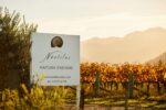 Nautilus Estate Albarino 2023 (6 Bottles) Marlborough, NZ - Image 4