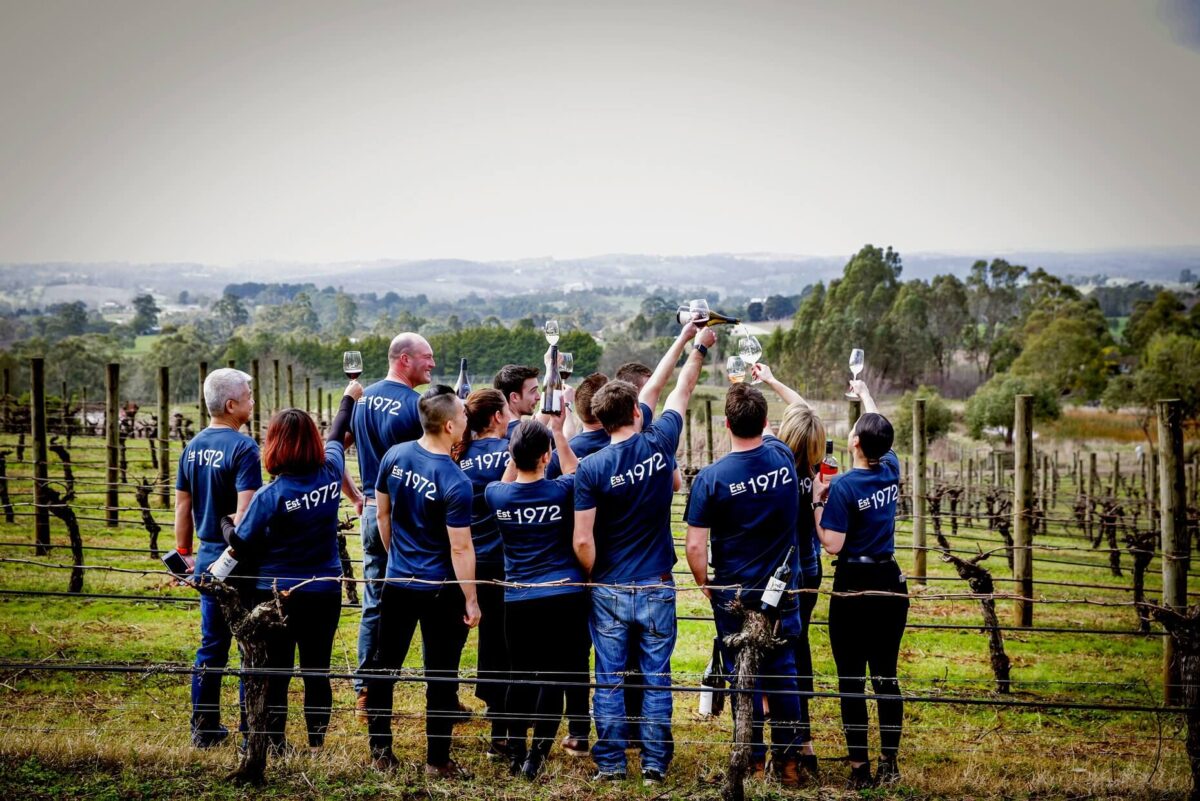 Seville Estate Cabernet Sauvignon “Old Vine” 2019 (6 Bottles) Yarra Valley - Image 5