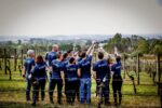 Seville Estate Cabernet Sauvignon “Old Vine” 2019 (6 Bottles) Yarra Valley - Image 5