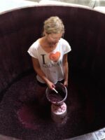 Kelley Fox ‘Momtazi Vineyard’ Pinot Noir 2015 Oregon USA (6 Bottles) - Image 2