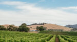Soumah D'Soumah Range Pinot Noir 2023 (12 Bottles) Yarra Valley - Image 3