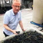 John Duval Plexus Red Shiraz Grenache Mourvèdre 2021 (6 Bottles) Barossa Valley - Image 2