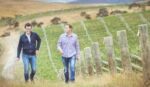 Corofin Settlement Vineyard Pinot Noir 2022 (1 Bottle), Marlborough NZ - Image 4