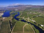 Radford Dale Black Rock Swartland Syrah Blend 2019 (6 Bottles) Stellenbosch, South Africa - Image 2