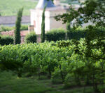 Château la Grolet 'Origines' Côtes de Bourg 2021 (6 Bottles) Bordeaux, France - Image 3