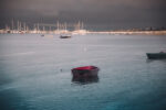 Garagiste Stagiaire Pinot Noir 2022 (6 Bottles) Mornington Peninsula - Image 3