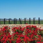 Leconfield Syn Sparkling Rouge Shiraz NV (6 Bottles) Coonawarra - Image 2