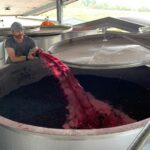 Ingram Road Pinot Noir 2021 (12 Bottles) Coldstream, Yarra Valley - Image 5