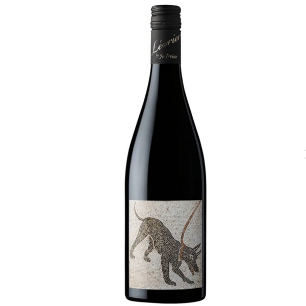 Levrier Argos Shiraz