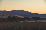 Ant Moore Chardonnay A+ Series (12 Bottles) Marlborough, NZ - Image 3