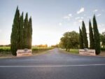 Brand’s Laira Tall Vines Shiraz 2022 (6 Bottles) Coonawarra - Image 6
