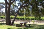 Peel Estate Chardonnay 2021 (12 Bottles) Margaret River - Image 3