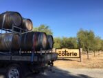 Scout 2019 Waipara Glasnevin Riesling (6 Bottles) Waipara, New Zealand - Image 4