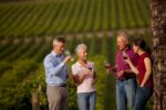 Thorne Clarke Wines 2018 Single Vineyard Selection Chardonnay (6 Bottles) Eden Valley - Image 4