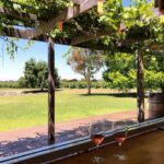 Whistle Post 2013 Whistle Post Reserve Cabernet Sauvignon 2018 (6 Bottles) Coonawarra - Image 6