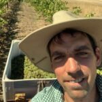 Bink Charley Riesling 2023 (6 Bottles) Barossa Valley - Image 2