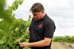 Tim Smith Eden Valley Riesling (6 Bottles) Barossa Valley - Image 3