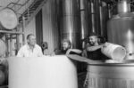 Catlin Wines X Yolk Pinot Blanc (12 Bottles) Adelaide Hills - Image 5