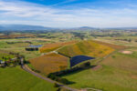 Denton Pinot Noir 2021 (12 Bottles) Yarra Valley - Image 3