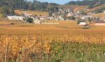 Domaine Jean-Marc Bouley Volnay 1er Cru Les Carelles 2017 (12 Bottles) Burgundy, France - Image 2