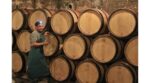 Domaine Jean-Marc Bouley Volnay 1er Cru Les Carelles 2017 (12 Bottles) Burgundy, France - Image 6