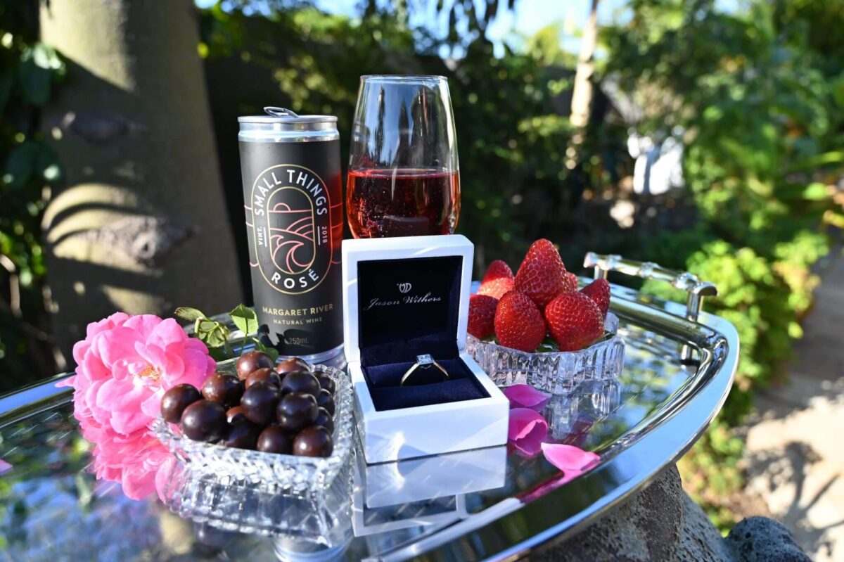 Small Things Wine Shiraz Cans (16 x 250ml Cans) Margaret River - Image 8