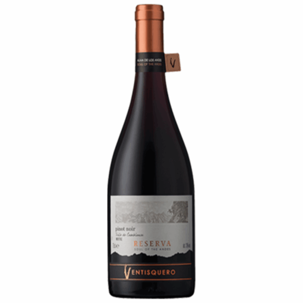 Ventisquero Queulat Reserva Pinot Noir 2022 (6 Bottles) Chile