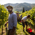 Poderi Dal Nespoli Prugneto Sangiovese Superiore 2020 (12 Bottles) Emilia-Romagna, Italy - Image 2