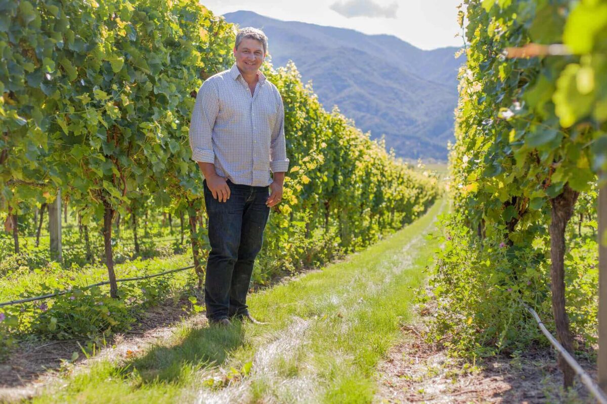 Tiki Estate Maui Chardonnay - Hawke's Bay 2017 (12 Bottles) Marlborough, New Zealand - Image 4