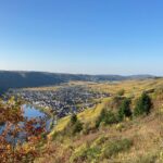 Staffelter Hof Paradies Riesling 2020 (6 Bottles) Krov, Germany - Image 3