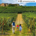 Josetta Saffirio Barolo DOCG 2019 (6 Bottles) Piedmont, Italy - Image 2