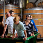 Weingut Dorli Muhr Carnuntum Blaufrankisch-Syrah 2019 (6 Bottles) Carnuntum, Austria - Image 2