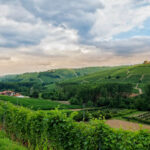Josetta Saffirio Barolo DOCG 2019 (6 Bottles) Piedmont, Italy - Image 4
