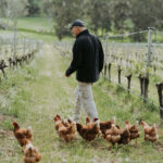 McHenry Hohnen Hazel Vineyard Syrah 2020 (6 Bottles) Margaret River - Image 3