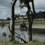 McHenry Hohnen Hazel Vineyard Syrah 2020 (6 Bottles) Margaret River - Image 4