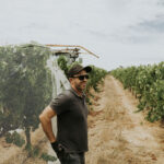 McHenry Hohnen Hazel Vineyard Syrah 2020 (6 Bottles) Margaret River - Image 5