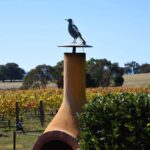 Hochkirch Edel Riesling Mildly Sweet 2020 (12 Bottles) Beechworth - Image 3