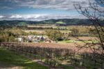 Shottesbrooke Estate Series Pinot Noir 2021 (6 Bottles) McLaren Flat, South Australia - Image 4
