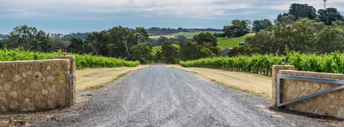 Shottesbrooke Estate Series Pinot Noir 2021 (6 Bottles) McLaren Flat, South Australia - Image 3